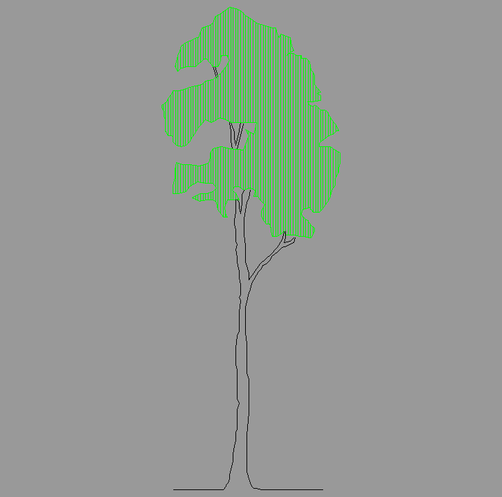 Bloque Autocad Vista de Árbol Color 03 en Alzado